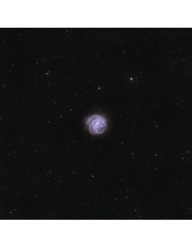 Lunette intelligente Vaonis Vespera PRO 50/250