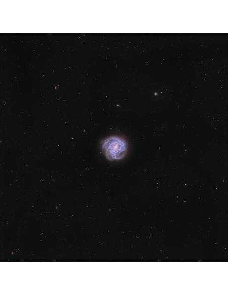 Lunette intelligente Vaonis Vespera PRO 50/250